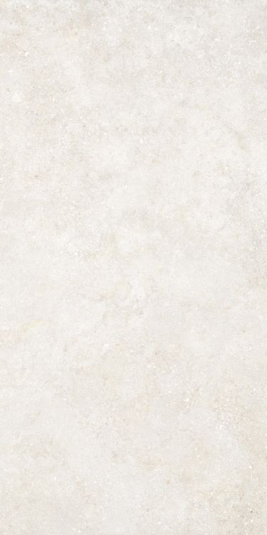 Untamed Wander White 24 x 48